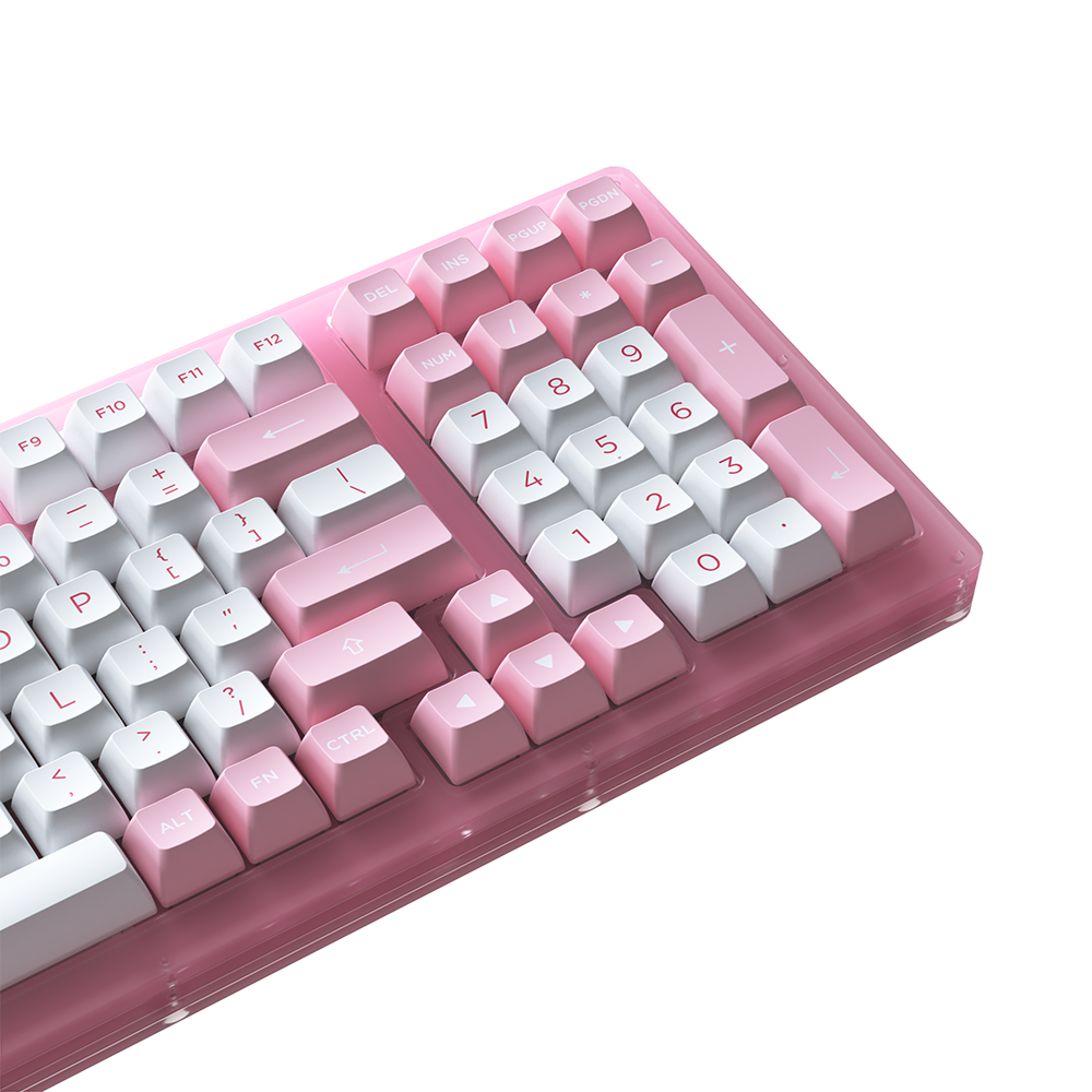 Bàn phím cơ AKKO ACR98 Pink RGB Akko CS Jelly Pink