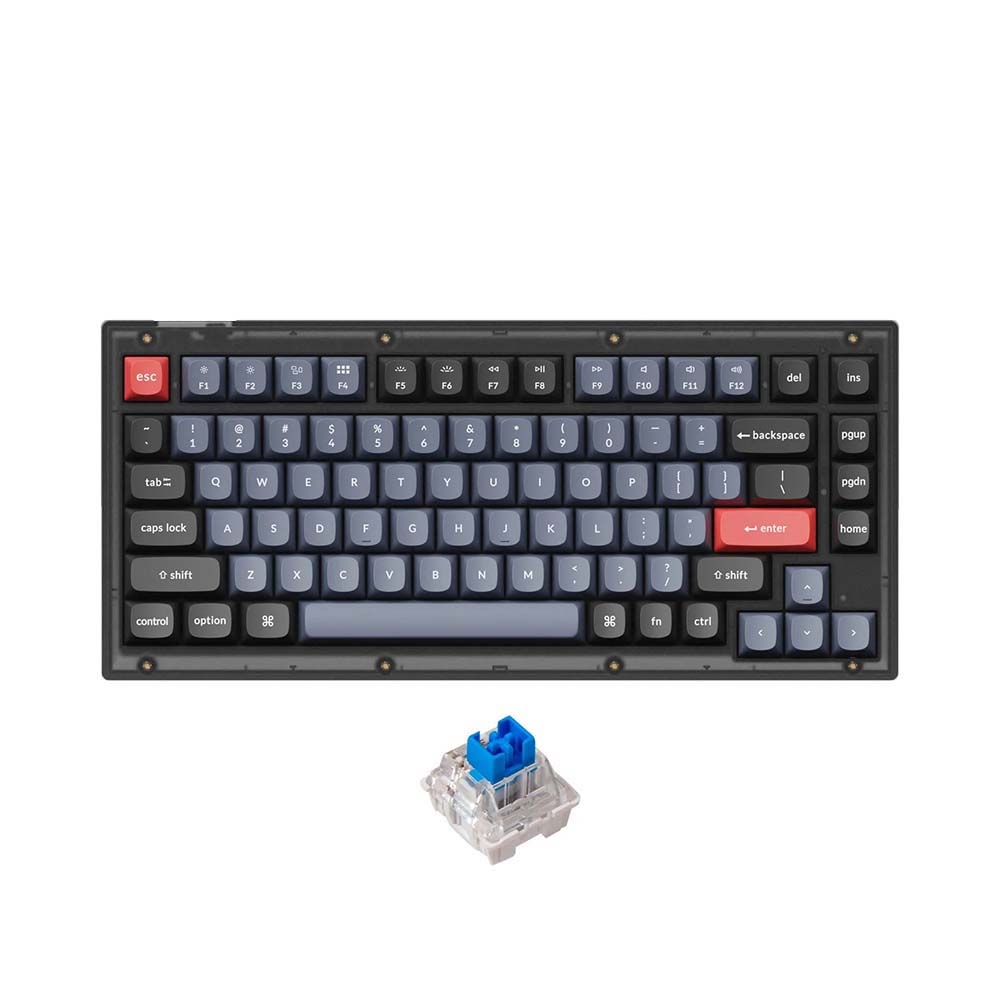 Bàn phím cơ Keychron V1 Full Assembled Black Translucent Led RGB HotSwap Keychron K Pro Switch Red / Blue / Brown