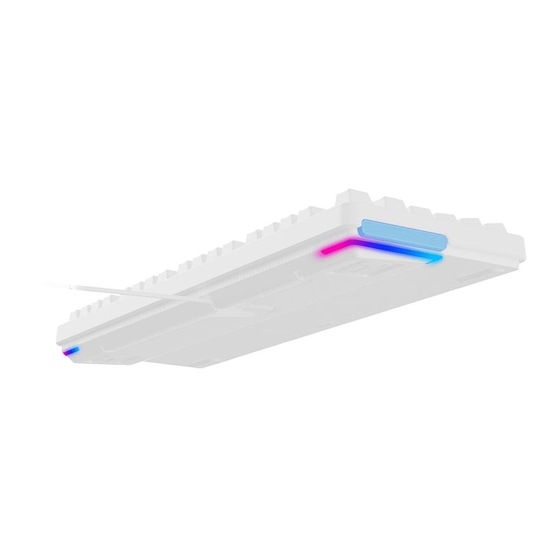 Bàn phím cơ Rapoo V500 Pro-98 2024 White Edition Multi Led (Rapoo Sw)