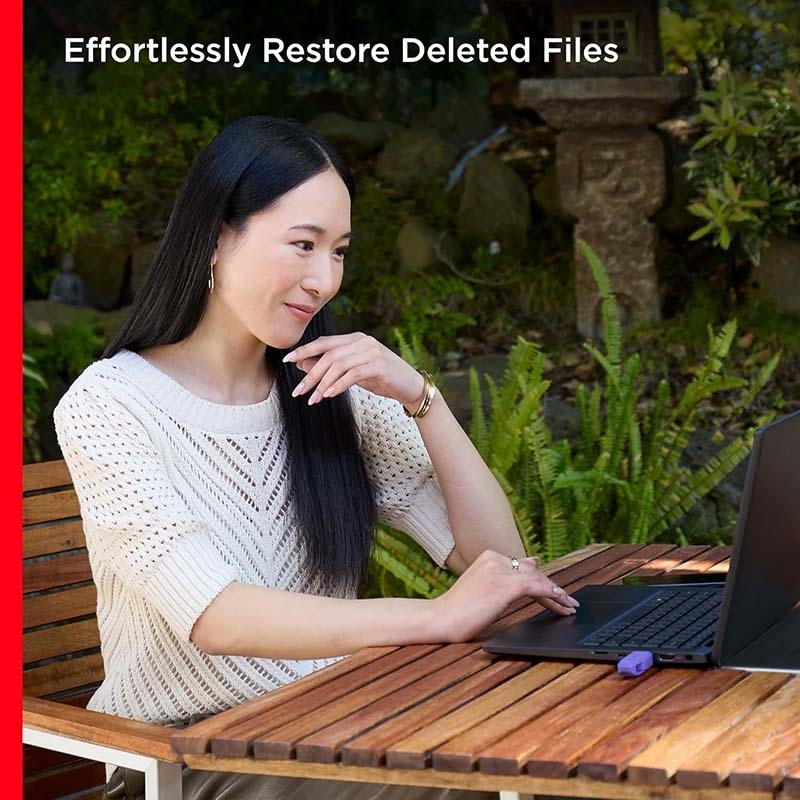 USB 3.2 SanDisk Phone Drive Purple Opulence 64GB 100MB/s OTG Type-C SDDDC6-064G-G46PO