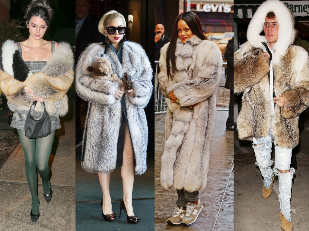 chuyen-gia-giat-la-cac-cach-giat-do-long-thu-ao-khoac-long-hieu-qua