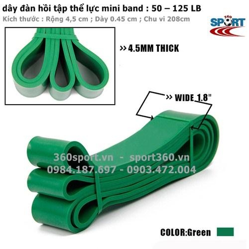 Dây cao su kháng lực power band  50 – 125 LB