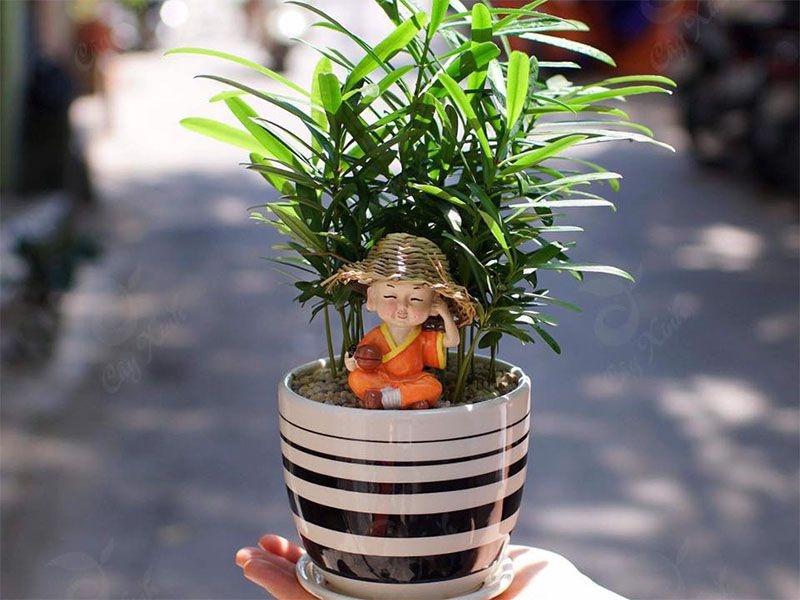 canh-quan-cafe-san-vuon