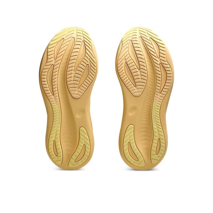 Giày chạy bộ ASICS GEL-NIMBUS 27 LITE-SHOW Nam - 1011C033.800