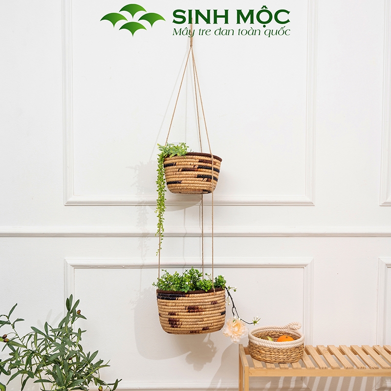 Chậu cây trang trí 2 tầng, giỏ lục bình trồng cây, decor studio - M1010