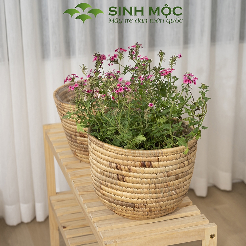 Chậu trồng cây, giỏ lục bình, decor văn phòng, trang trí nhà cửa, giỏ đựng đồ đa năng Sinh Mộc - M1023