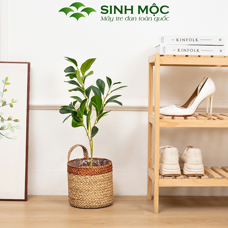 Giỏ cói trồng cây, giỏ cói đựng đồ, giỏ mây tre đan thân thiện với môi trường - M1004