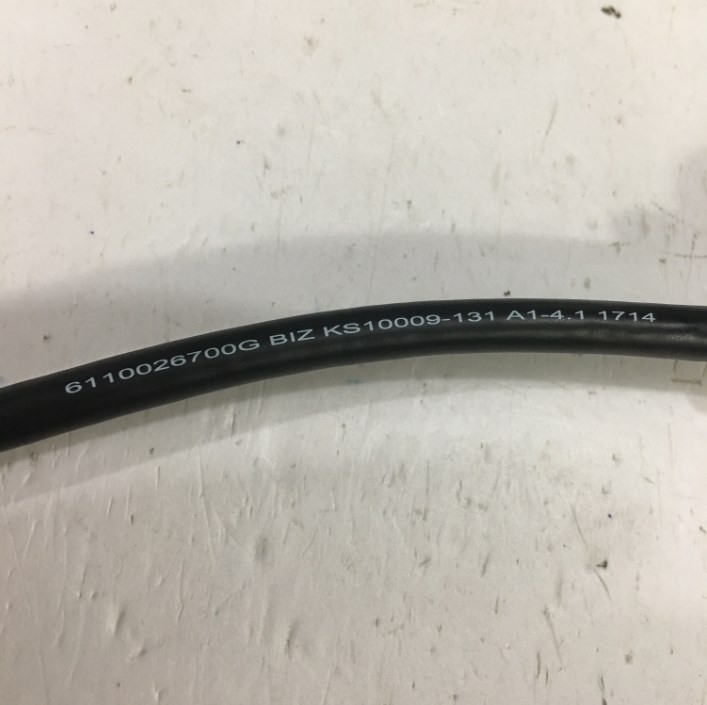 Cáp Chuyển Đổi Tín Hiệu BizLink Ks10009-131 DisplayPort to DVI-D single Adapter Cable Length 20Cm