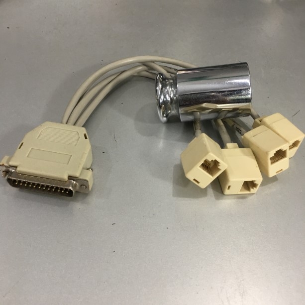 Cáp DB25 Male to 4 Port RJ45 Female Adapter Cable Length 30cm