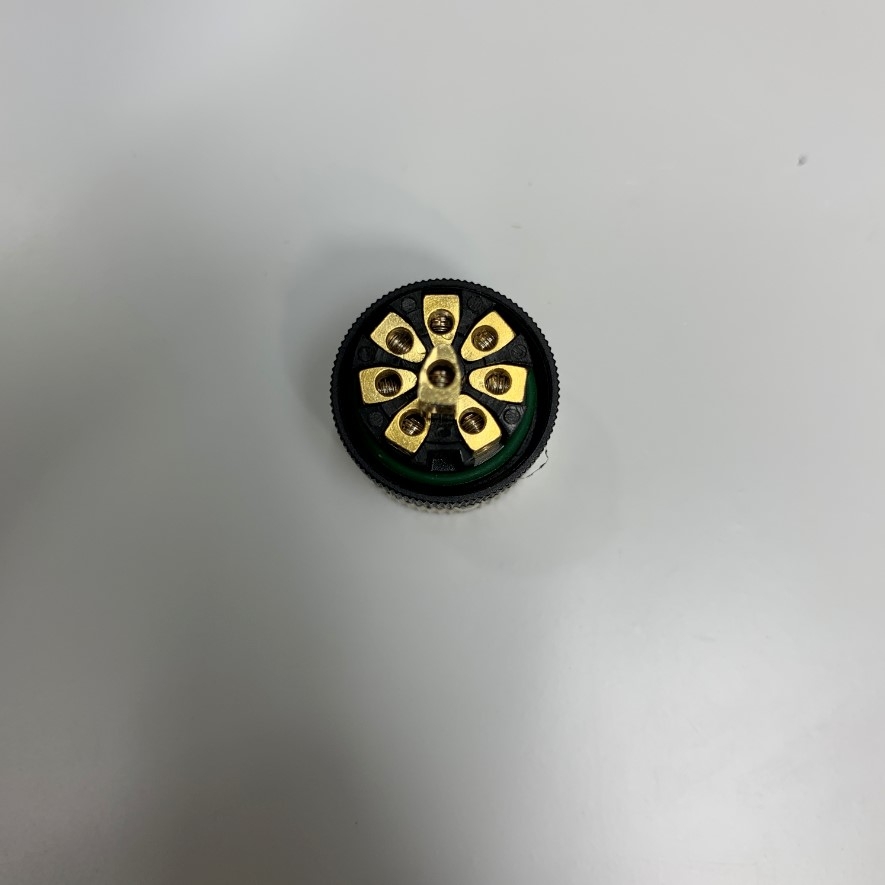 Đầu Jack Binder Connector M12 A-Coded 8 Pin Female Gold Plated Screw Terminal Straight For Industrial Sensor Cable M12 Connector Circular
