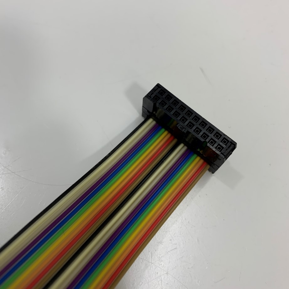Cáp Kodak Trendsetter VLF Aable Assembly OEM EH-BP 10-3347A 17Ft Dài 5M Flat Ribbon Rainbow Cable IDC 20 Pin 2.54mm For Laser Marking Machine Kodak Trendsetter VLF