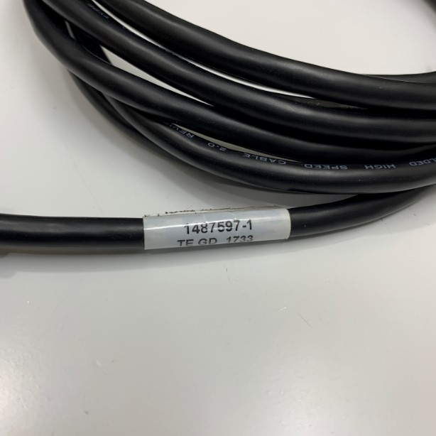 Cáp USB 2.0 Cable Type A to Type B Dài 3M 9.8 ft 1487597-1 For PLC, Printer Computer Programming/Download