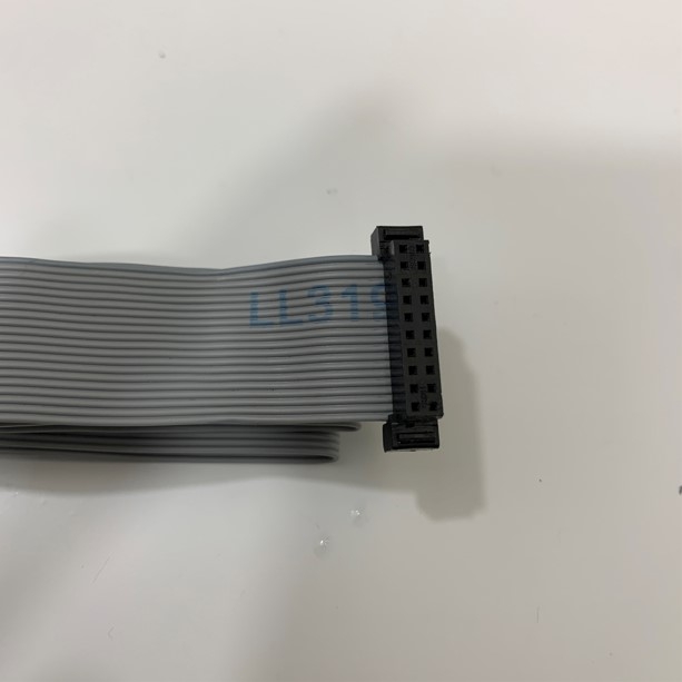 Cáp Flat Ribbon Data Cable 20 Pin Grey Dài 0.45M IDC Connector Pitch 2.0mm - Cable Pitch 1.0mm