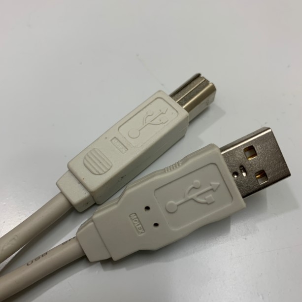 Cáp Lập Trình Molex 3248378 7FT White USB 2.0 Type A Male to Type B Male Cable 2.1M