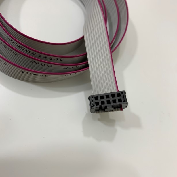 Cáp Chuyển Đổi Flat Ribbon Cable 10 Pin IDC Connector Pitch 2.54mm to RS232 DB9 Male Length 1M