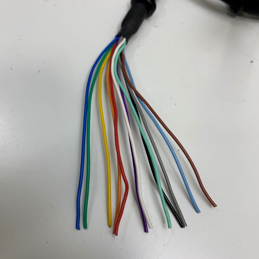 Cáp Điều Khiển Cable M12 A-Code 12 Pin Female to 12 Core Bare Wire Open End Dài 0.5 Meter 1.5ft For Sensor Actuator Connector