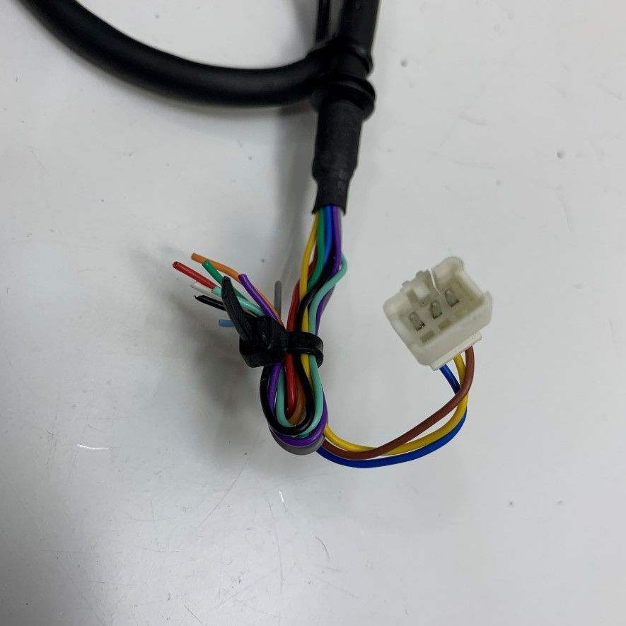 Cáp Điều Khiển Cable M12 A-Code 12 Pin Female to 12 Core Bare Wire Open End + 3 Pin Female Molex Connector Dài 0.5 Meter 1.5ft For Sensor Actuator Connector