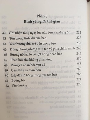 Tích Tiểu Thành Đại - Nuôi dưỡng bộ não phật qua 52 thực hành đơn giản (Rick Hanson)