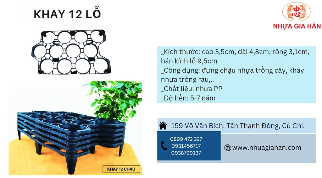 KHAY ĐỰNG CHẬU NHỰA 12 LỖ