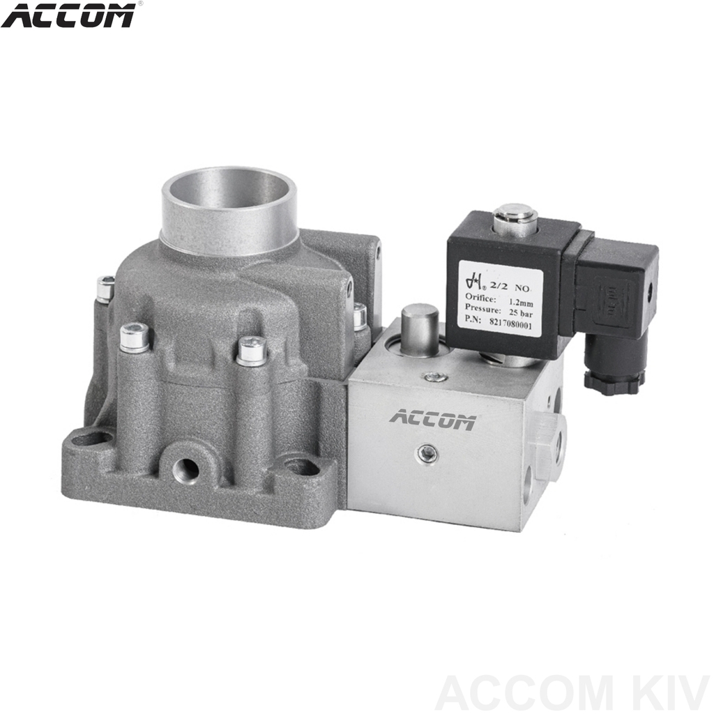 Van nạp khí máy nén ACCOM KIV-40-160