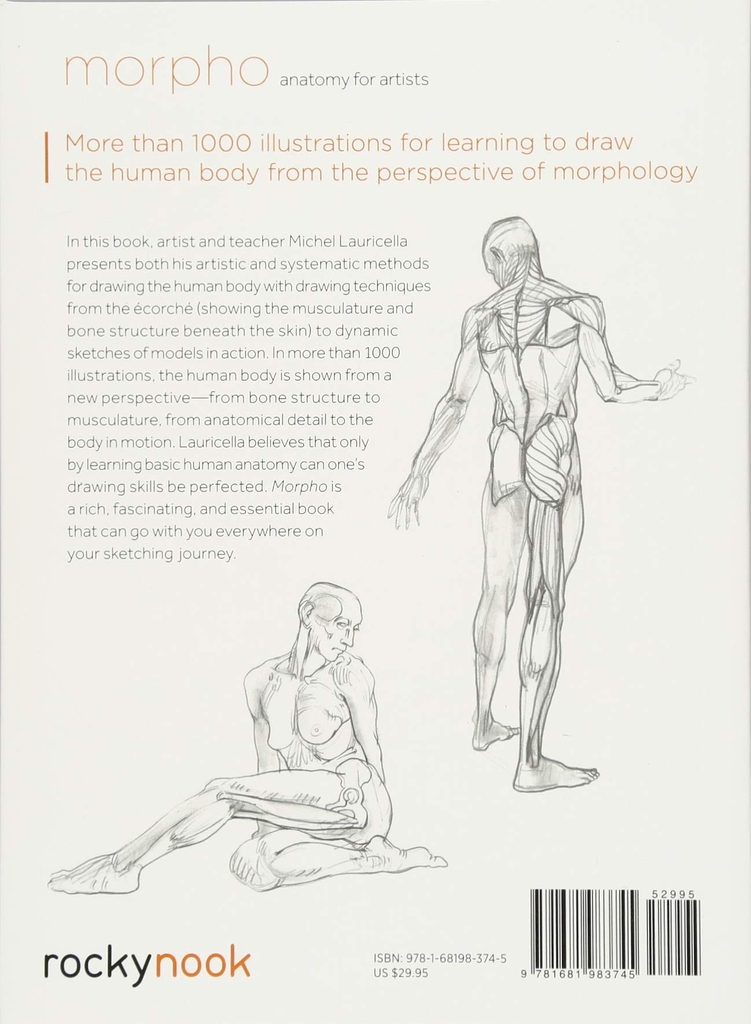 Morpho: Anatomy for Artists