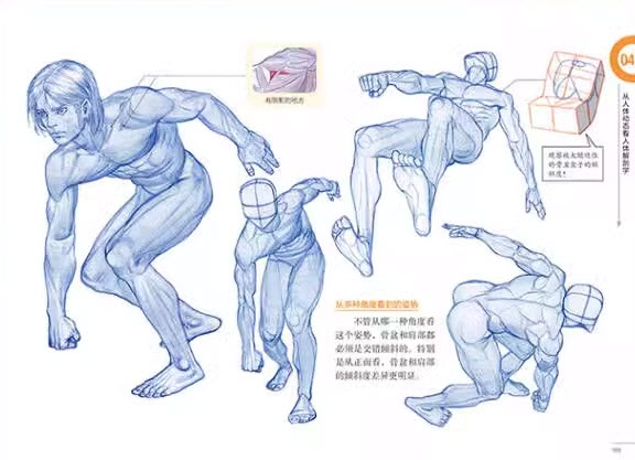 Anatomy Drawing Class - RockHe Kim (CN)