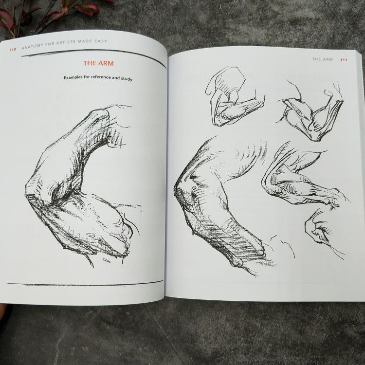 Anatomy for Artists Made Easy