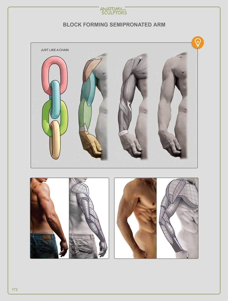 Anatomy For Sculptors