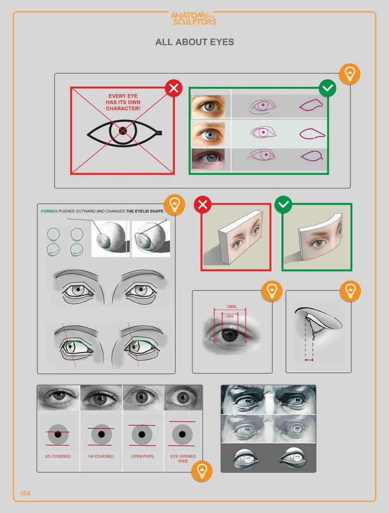 Anatomy For Sculptors