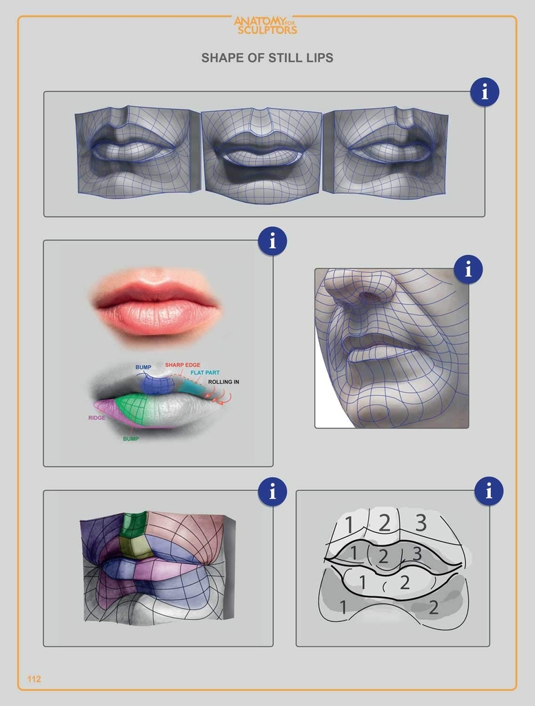 Anatomy For Sculptors