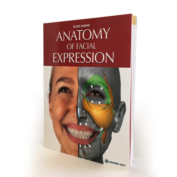 Anatomy of Facial Expressions