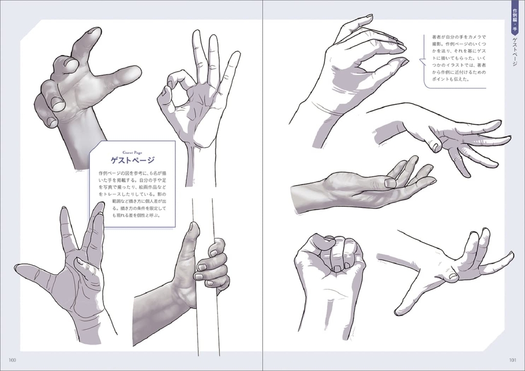 Anatomy of hand and foot