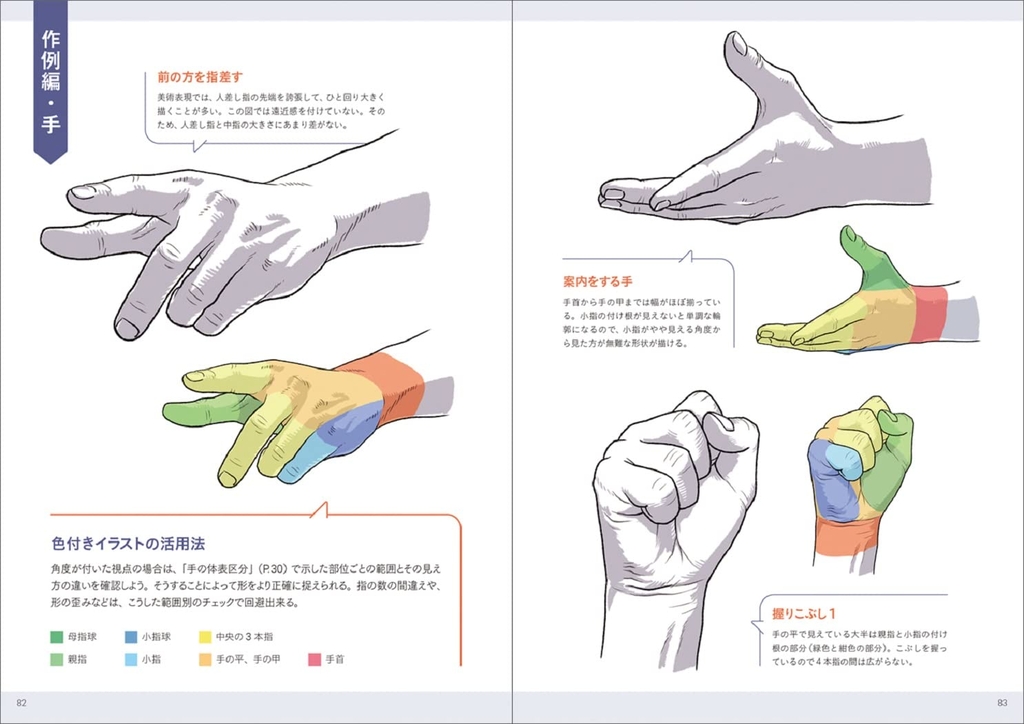 Anatomy of hand and foot