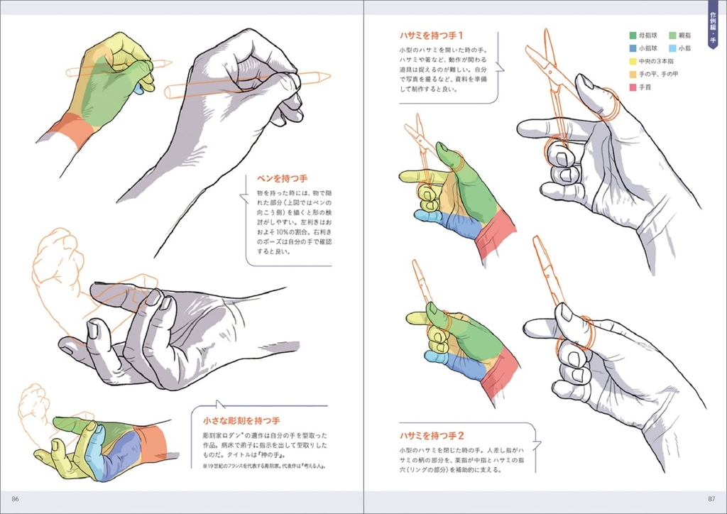 Anatomy of hand and foot