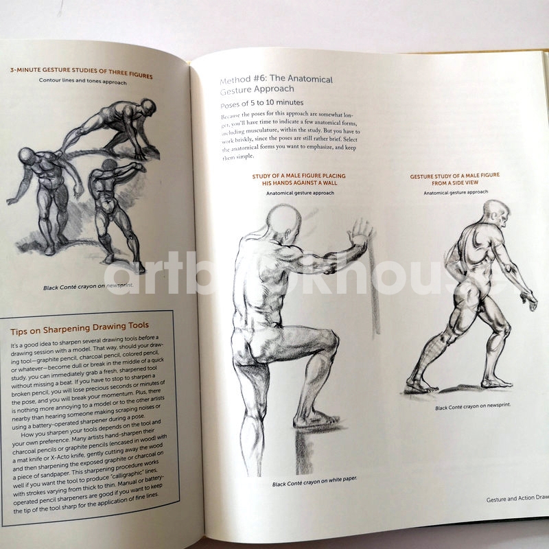 Classic Human Anatomy in Motion