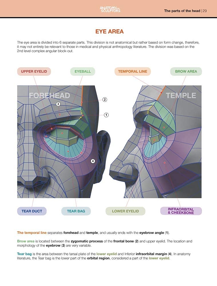 Form of the Head and Neck