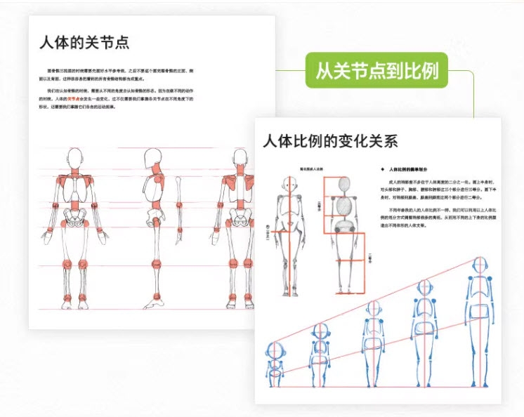 Human Anatomy for Artists - Xiao Weichun