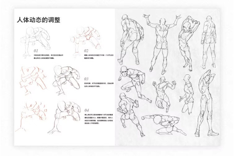 Human Anatomy for Artists - Xiao Weichun