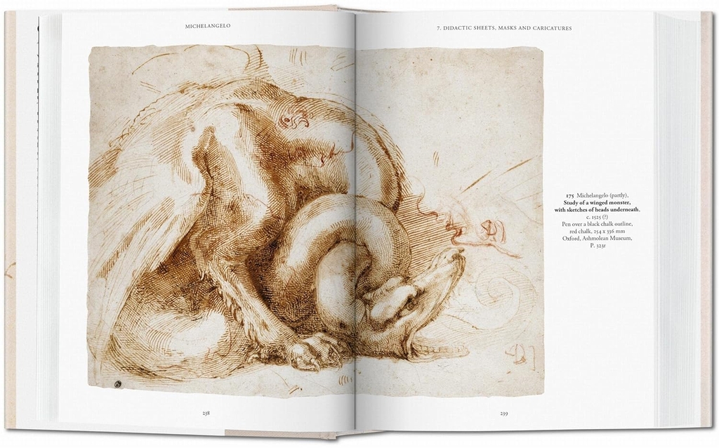 Michelangelo. The Graphic Work