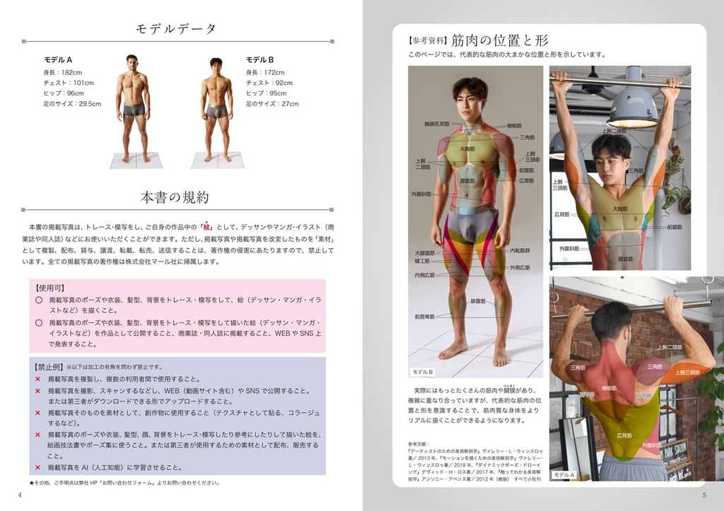 Muscular male pose catalog