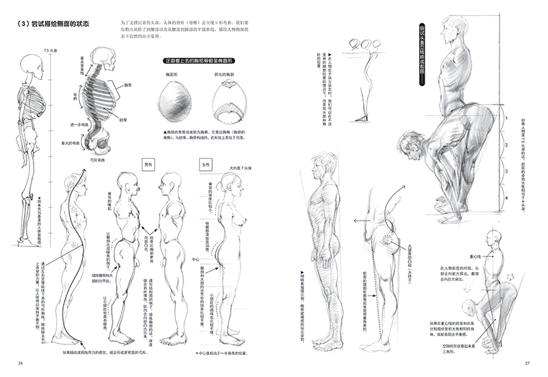 Dynamics of the human body