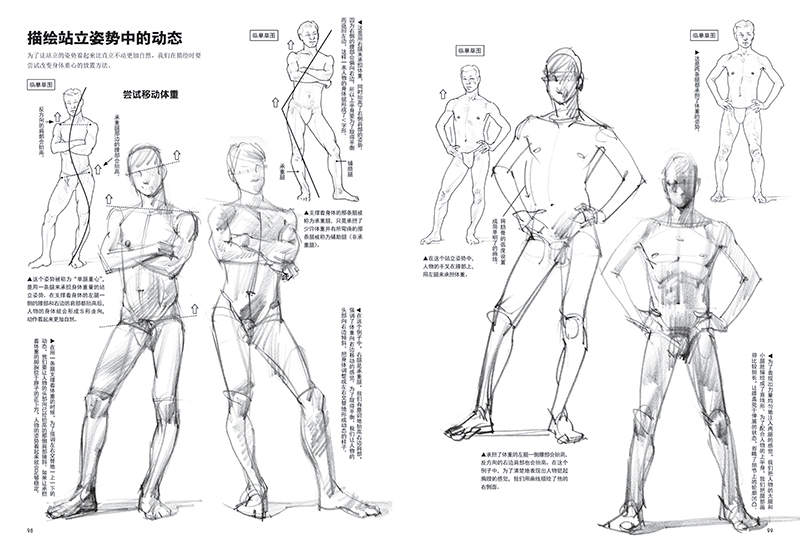 Dynamics of the human body