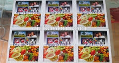 gioi-thieu-2-vat-tu-nganh-in-may-in-epson-r3000-va-epson-stylus-r1900