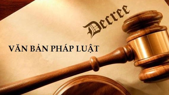 phap-luat