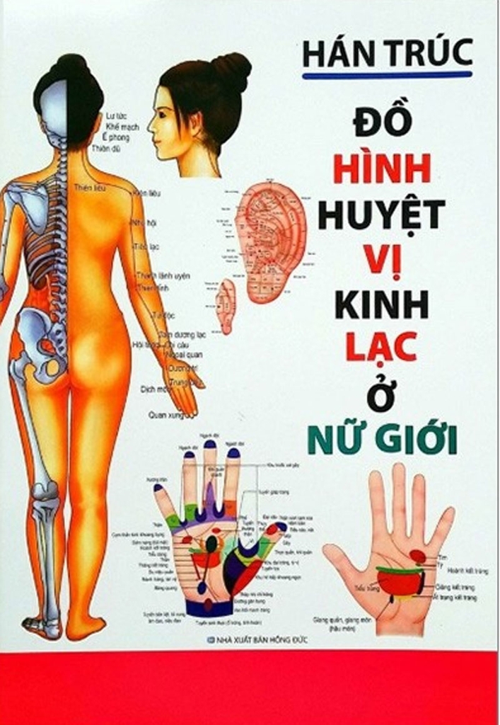 Đồ Hình Huyệt Vị Kinh Lạc Ở Nữ Giới