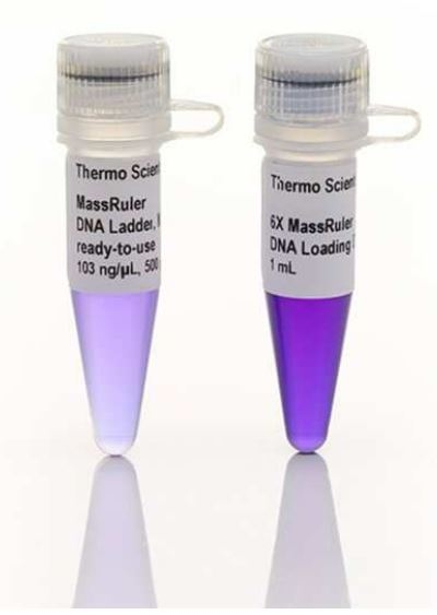MassRuler™ DNA Ladders