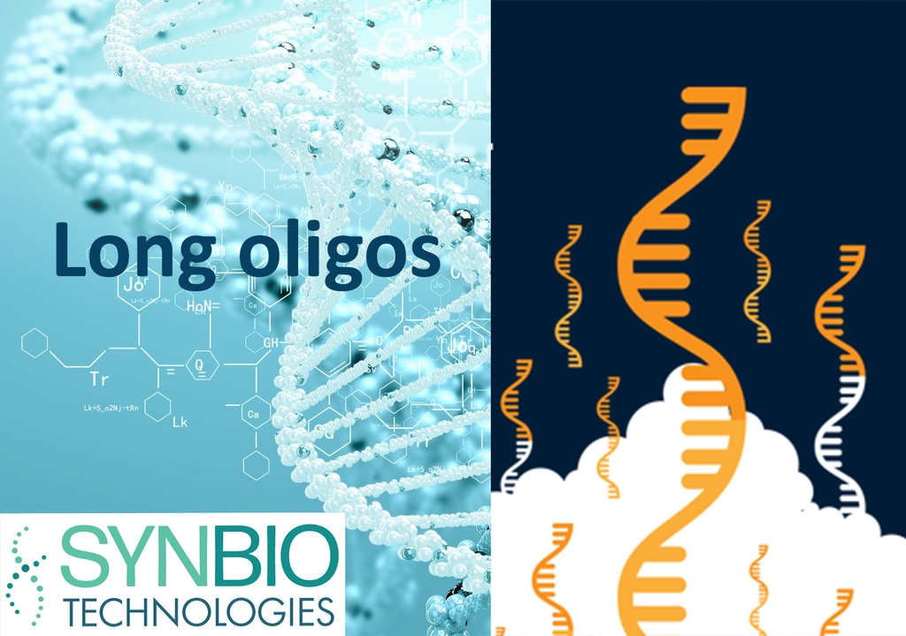 Tổng Hợp Primer Độ Dài Lớn - Long DNA Oligos Synthesis