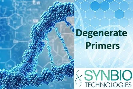 Tổng Hợp Primer Thoái Hóa - Degenerate DNA oligos Synthesis