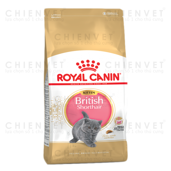 Royal canin British Shorthair Kitten