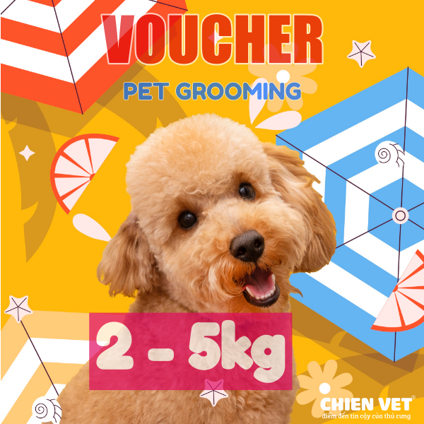 Voucher tắm và cắt tỉa lông cho chó từ 2kg đến 5kg